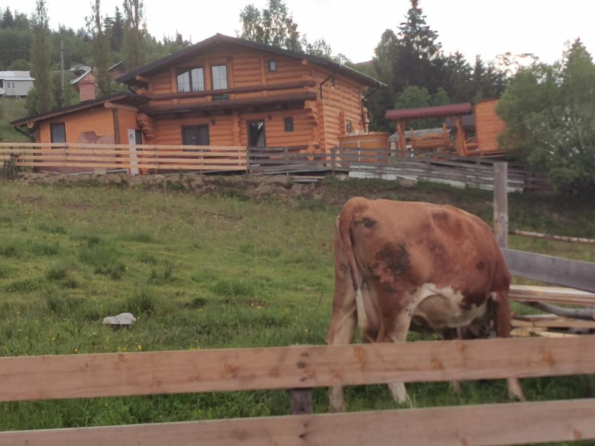 Chalet Relax Ватра-Дорней Экстерьер фото